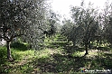 VBS_7135 - PressTour educational dedicato ai vini del Pinerolese e all’olio prodotto sulla collina di Pinerolo